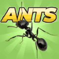 Pocket Ants Colony Simulator