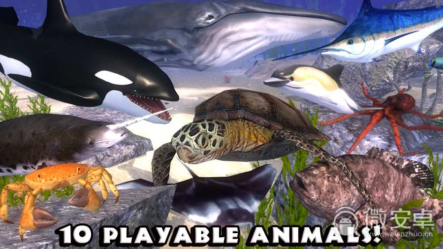 终极海豚模拟器中文版