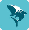鲨鱼影视免费观看版
