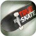 true skate