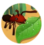 蚂蚁进化3d无限金币版