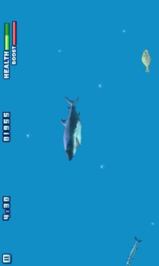 食人鲨