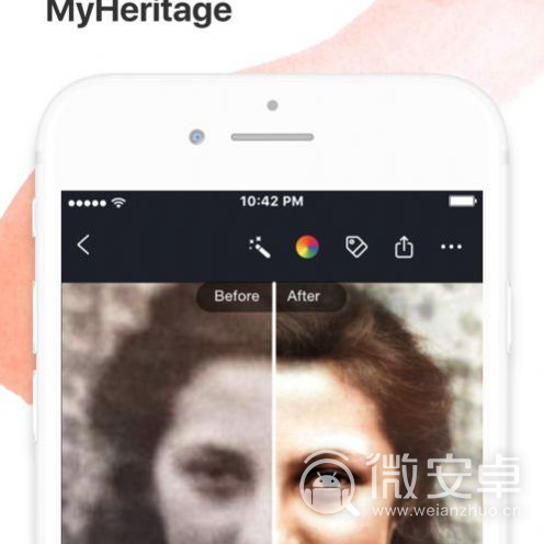 myheritage中文版