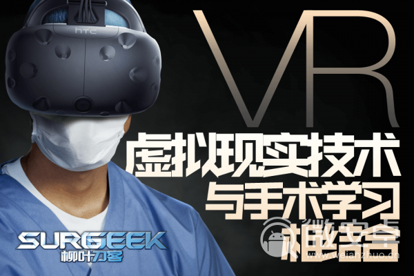 柳叶刀客VR