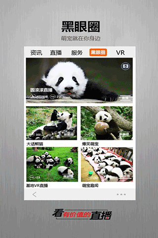 金熊猫直播VR
