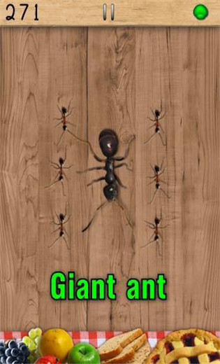 蚂蚁终结者