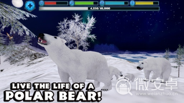 北极熊模拟器