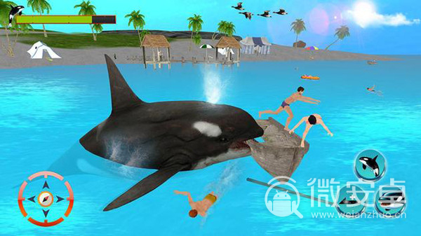 虎鲸的3D模拟器