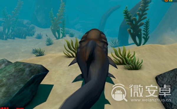 Feed and Grow：Fish联机版