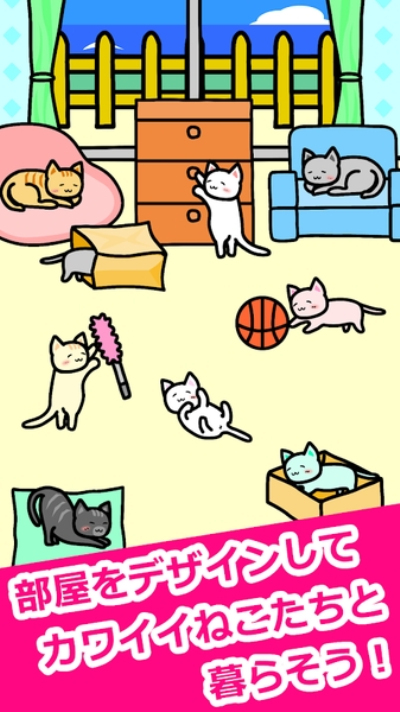 猫猫生活Life with Cats