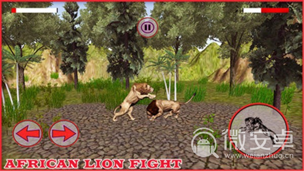 非洲狮模拟器