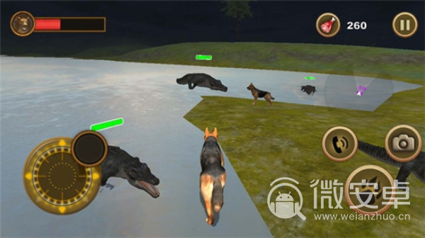 动物生存模拟器之狗2020
