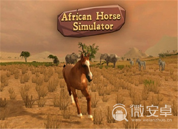 非洲马模拟器