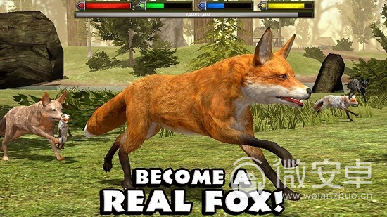 最终狐狸模拟器