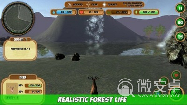 森林动物模拟器