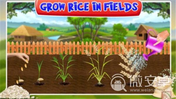 水稻种植工厂