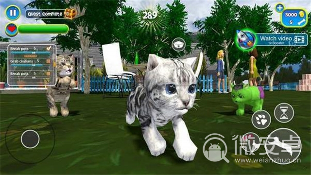 Virtual cat simulator