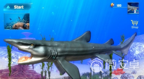 旋齿鲨模拟器